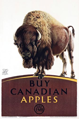 Vintage British Empire Canadian Apples Bison Advertisement Poster A3/A ...
