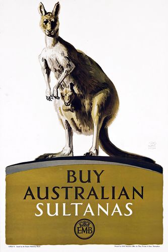 Vintage British Empire Australian Sultanas Kangaroo Advertisement Poster A3/A4