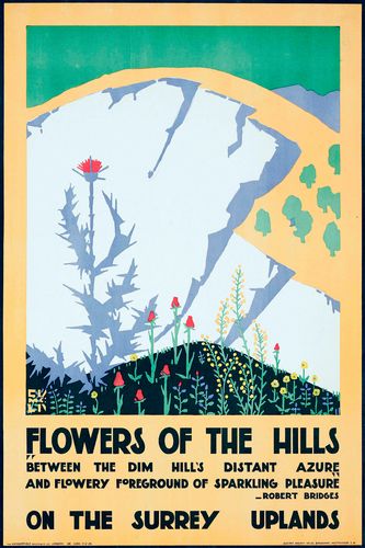 Vintage Local Transport Surrey Flowers Poster Reprint A3/A4