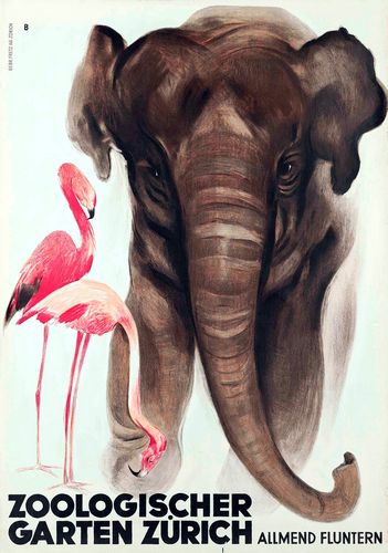 Vintage Zurich Zoo Elephant Flamingo Tourism Poster Reprint A3/A4