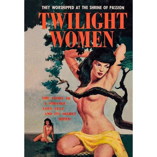 1950s Lesbian Pulp Twilight Women PB Book Cover Art A3 