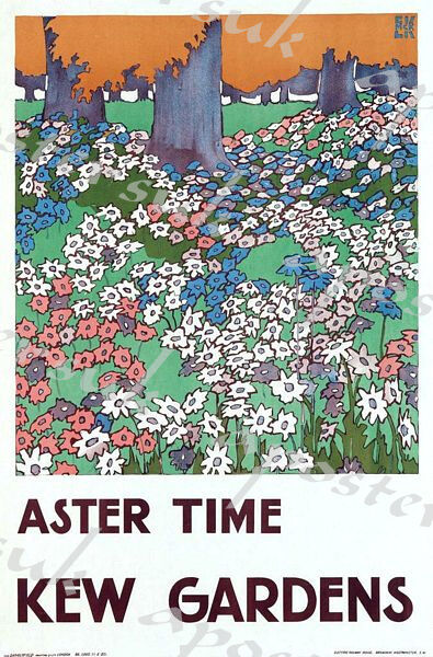 Vintage Kew Gardens Aster Time Tourism Poster A3/A4 Print