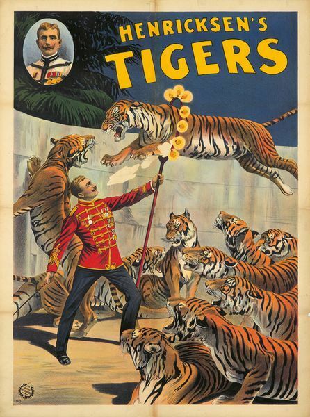 Vintage Circus Henricksen's Tigers  Poster A3 Print