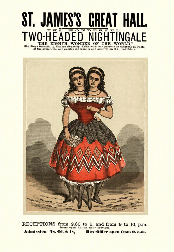 VICTORIAN CIRCUS ACT MILLIE & CHRISTINE THE TWO HEADED LADY  A3 POSTER REPRINT