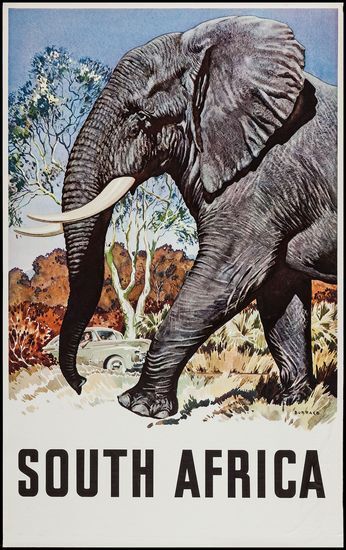 Vintage South Africa Elephant Tourism Poster  A3 Print