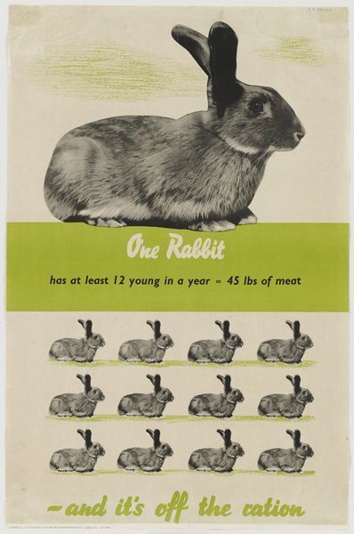 World War Two Eat Rabbit Meat  Poster A3 Print