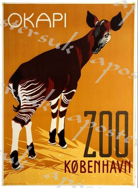 Vintage Copenhagen Zoo Okapi Poster A3/A4 Print