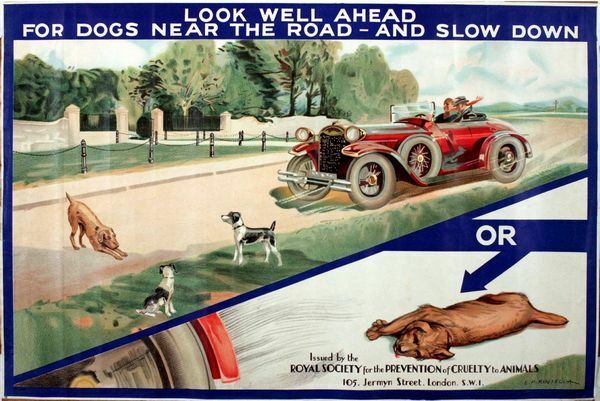 Vintage RSPCA Animal Cruelty Awareness Road Safety Poster A3 Print