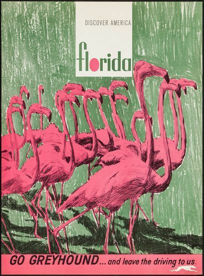 Vintage US Greyhound Coaches Florida Tourism Poster A3 Print