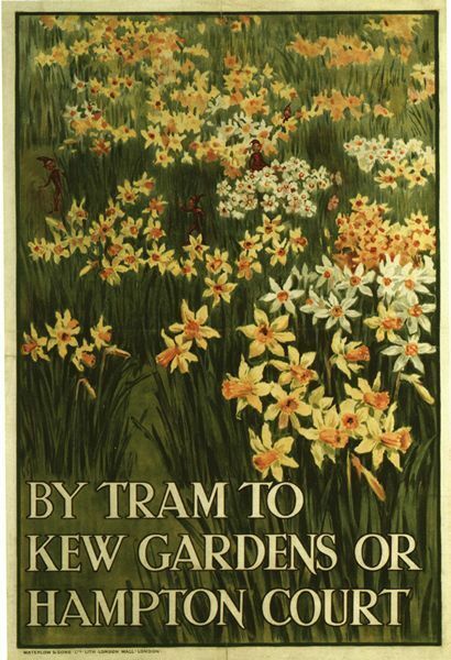 Vintage 1912 By Tram to Kew Gardens Daffodils Poster A3 Print