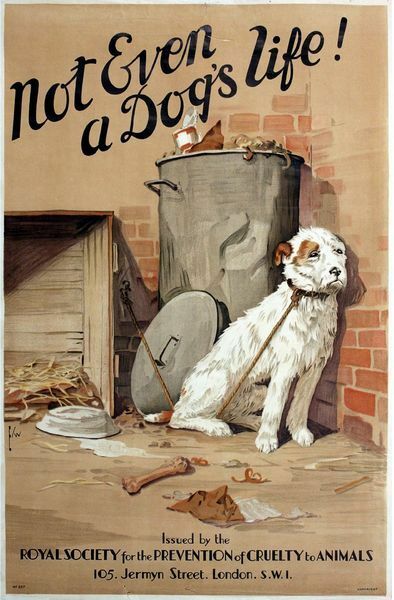 Vintage RSPCA Animal Cruelty Awareness Dog Neglect Poster A3 Print