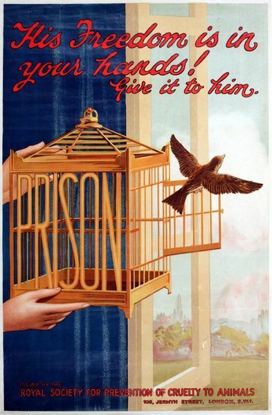 Vintage RSPCA Animal Cruelty Awareness Bird Cages Poster A3 Print