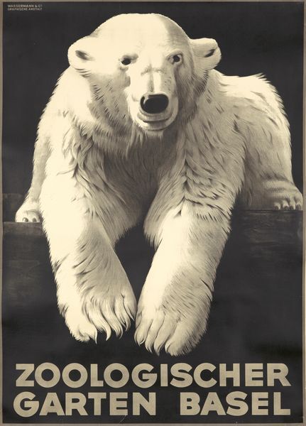 Vintage Basel Zoo Polar Bear Poster  A3 Print