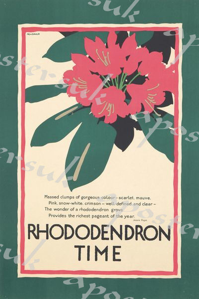 Vintage Kew Gardens Rhodedendron Time Tourism Poster A3/A4 Print