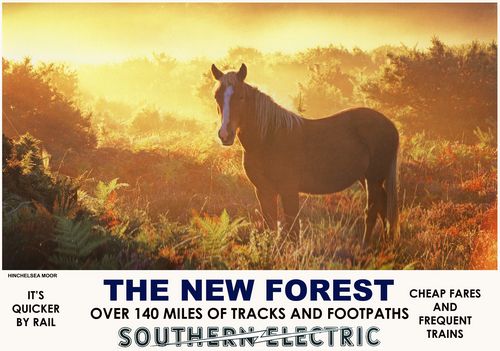 Vintage Style Railway Poster New Forest A4/A3/A2 Print