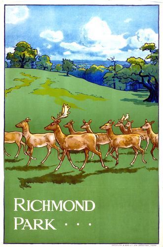 1911 Richmond Park London Poster  A3 / A2 Print