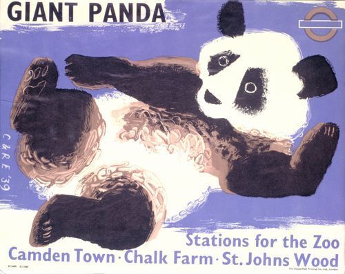 1939 London Zoo Giant Panda Poster  A3 Print