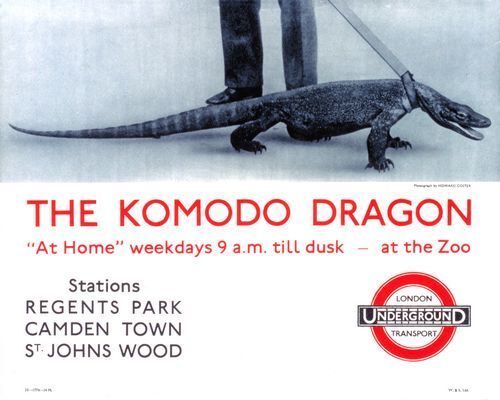 1935 London Zoo Komodo Dragon Poster A3 Print