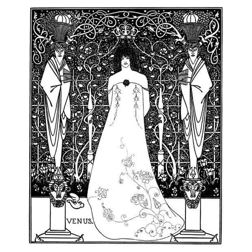 Aubrey Beardsley Illustration From Wagnerian Opera Venus & 