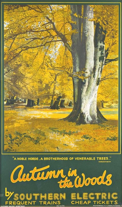 Vintage Southern Electric Autumn In The Woods Railway Poster Print A3/A4