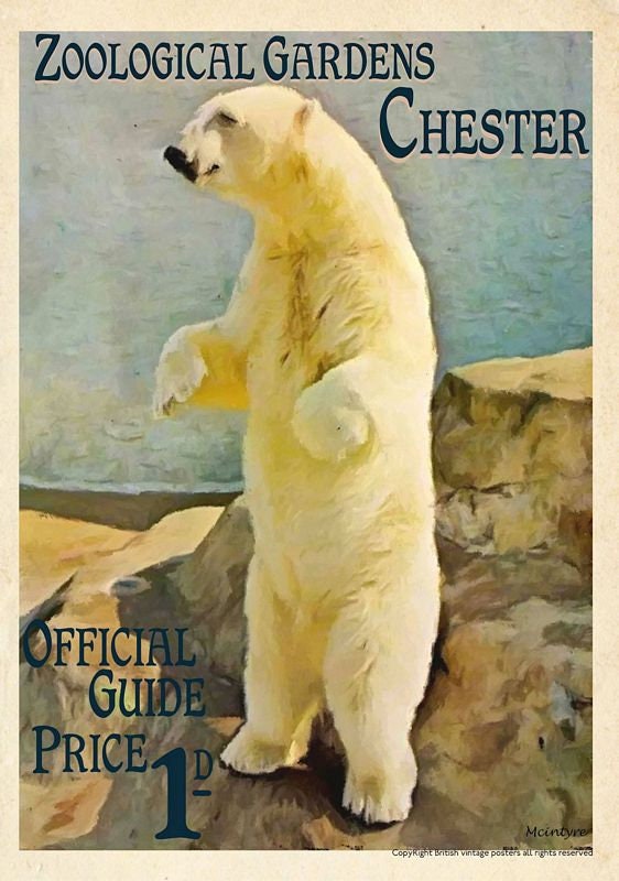 Vintage Chester Zoo Polar Bear Tourism Poster Print A3/A4