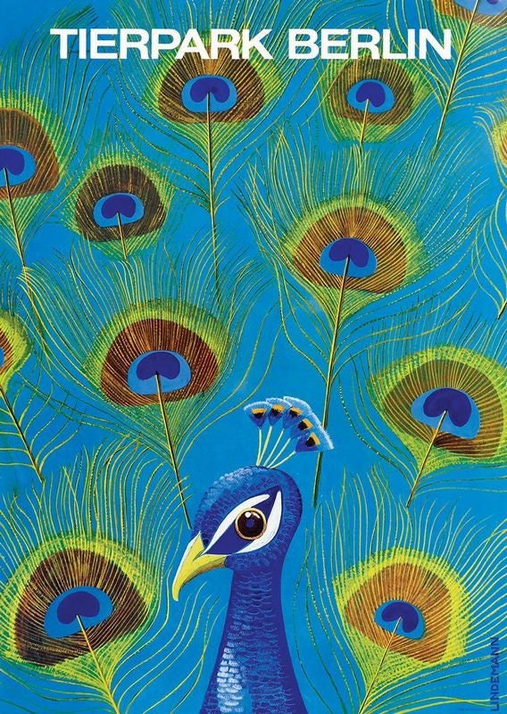 Vintage Berlin Zoo Peacock Tourism Poster Print A3/A4