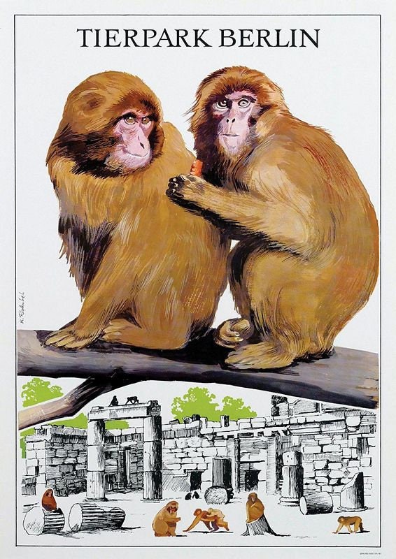 Vintage Berlin Zoo Monkeys Tourism Poster Print A3/A4