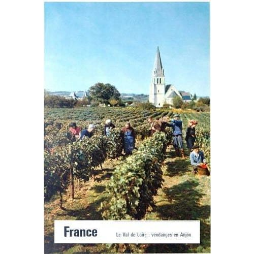 Vintage Anjou Loire Valley France Tourism Poster A3/A4 Print