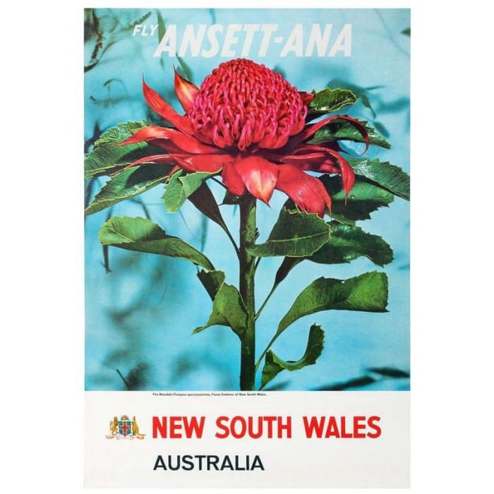 Vintage Ansett Australia New South Wales Airline Poster 