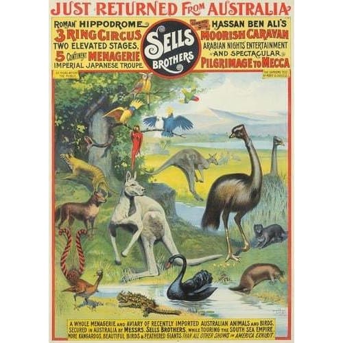 Vintage Australian Wildlife Circus Poster Print A3 - A3 - 
