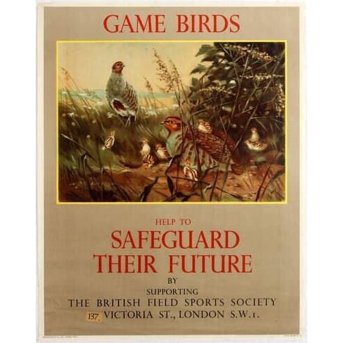 Vintage British Field Sports Game Birds Poster A3/A4 Print -