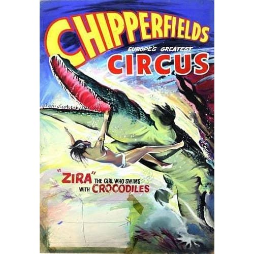 Vintage Chipperfields Zira The Girl Who Swims With 