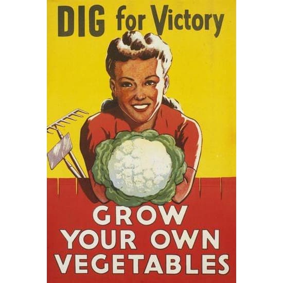 Vintage Dig For Victory Grow Your Own Vegetables Wartime 