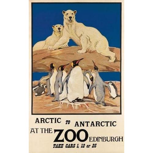 Vintage Edinburgh Zoo Polar Bears Tourism Poster A3 Print - 