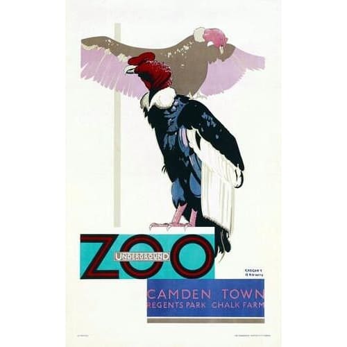 Vintage London Zoo Vulture Promotional Poster A3 Print - A3 