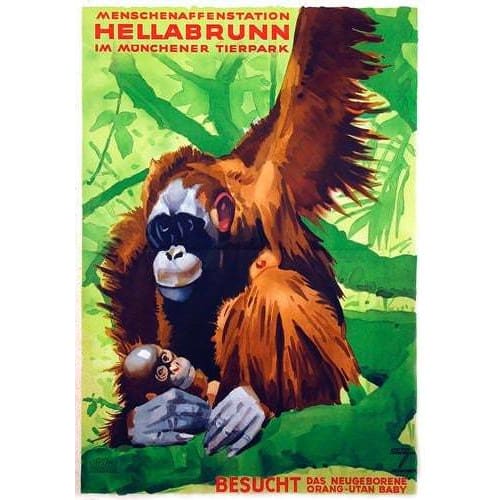 Vintage Munich Zoo Orangutan Tourism Poster A3 Print - A3 - 