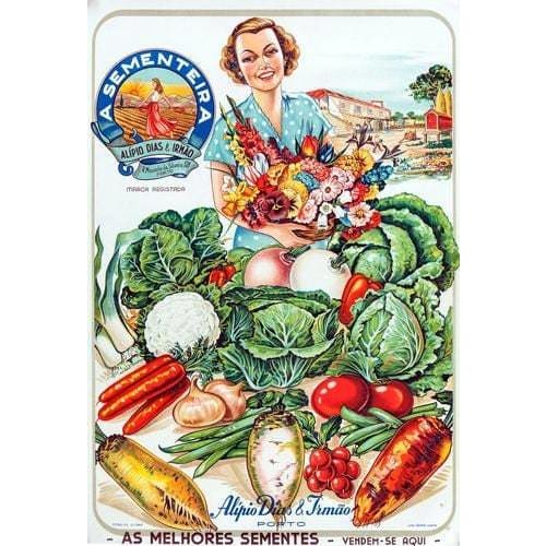 Vintage Portugese Fresh Fruit and Vegetables Advertisement 