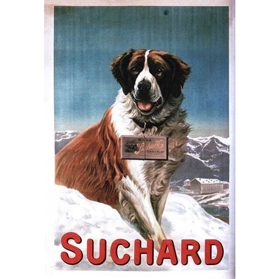 Vintage St Bernard Dog Suchard Chocolate Advertisement 