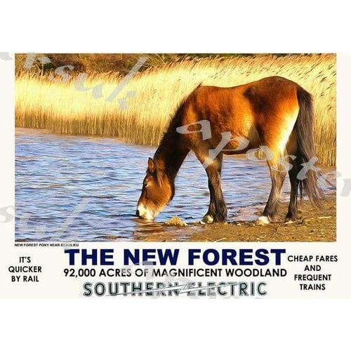 Vintage Style Railway Poster New Forest A3/A2 Print - 