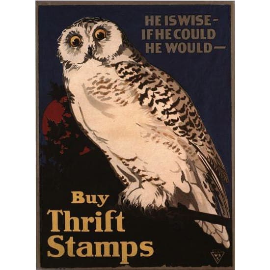 Vintage World War 1 Owl Thrift Stamps Savings Poster 
